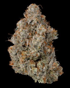 FIREFLY ORGANICS - Secret Cookies | Firefly Organics 