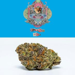 Cookies | Cheetah Piss | 3.5g