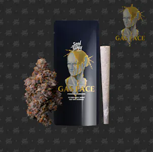 SEED JUNKY - GAS FACE (1G Pre-Roll)