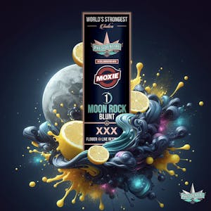 Presidential - Presidential Moon Rock Blunt - XXX (1.5g) [i]