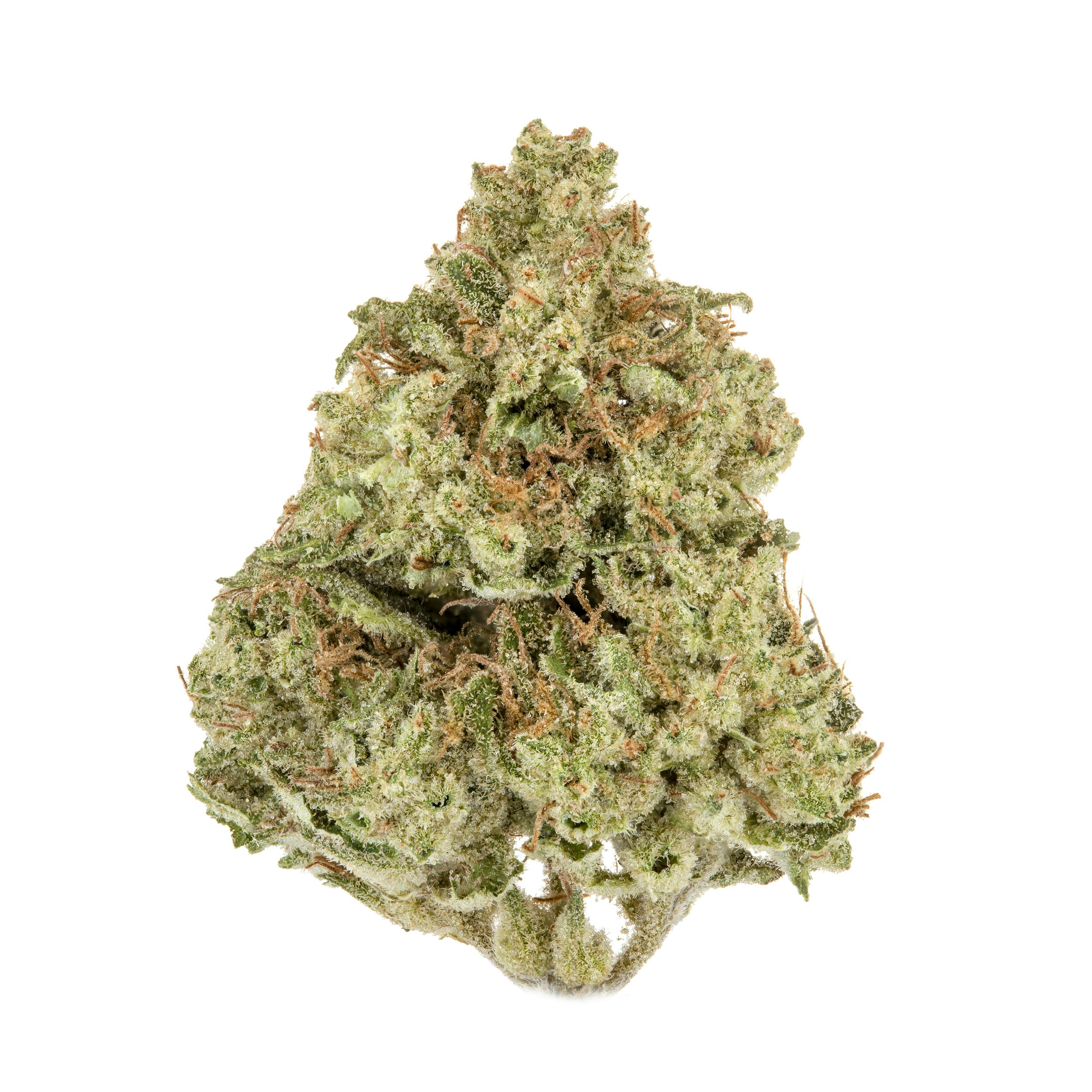 sorbet Brentwood 1-Quart Ice Cream Maker, Frozen Yogurt and Sorbet