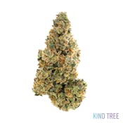 XOTX Warheads 14g Flower