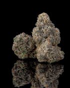 Cookies - BernieHana Butter - Flower Tub - 3.5G