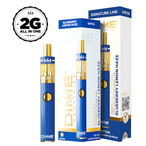 DIME INDUSTRIES - DIME Blueberry Lemon Haze 2G All in One Device