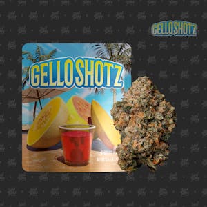 SEED JUNKY - Seed Junky - GELLO SHOTZ - 3.5G