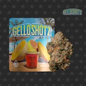 Seed Junky | Gello Shotz 3.5g
