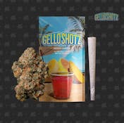 SEED JUNKY | GELLO SHOTZ | PREROLL | 1G