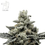 710 Labs - Persy - Randy Watzon #13 - 3.5g