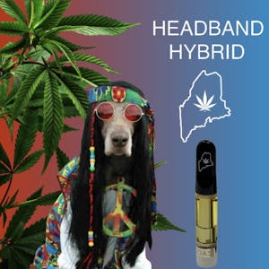 High Coast - Headband | Distillate Vape Cartridge 1g | High Coast