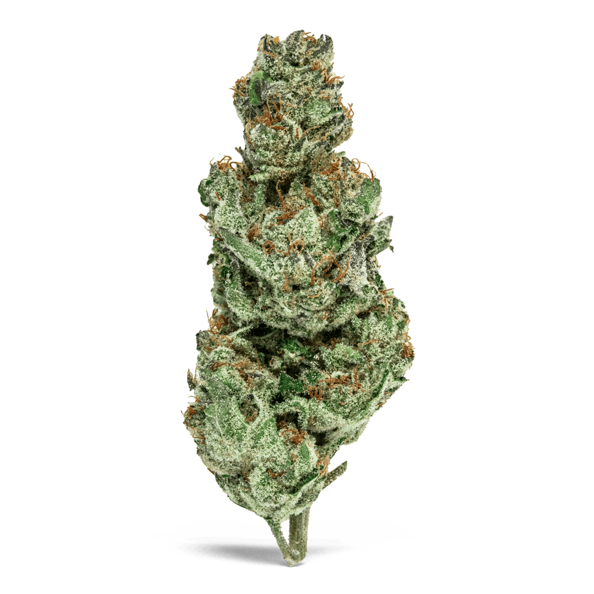 phish DOWN ON THE CORNER THC joint サイケ phish DOWN ON THE CORNER THC joint サイケ - メルカリ