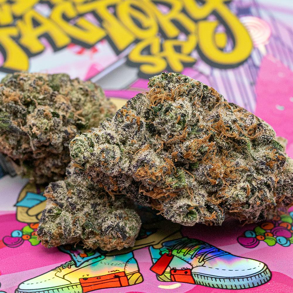 トップス NOILL x CANNABIS Damaged Sweat トップス NOILL x CANNABIS Damaged Sweat トップス NOILL x CANNABIS