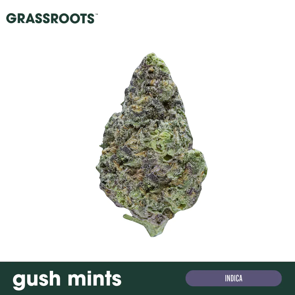 Find - Find. | Gush-Mints | Hybrid (14G) Main Image