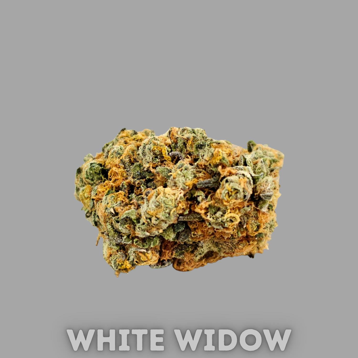 2241326_White_Widow.png