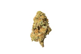 Burr's Place Poddy Mouth 3.5g