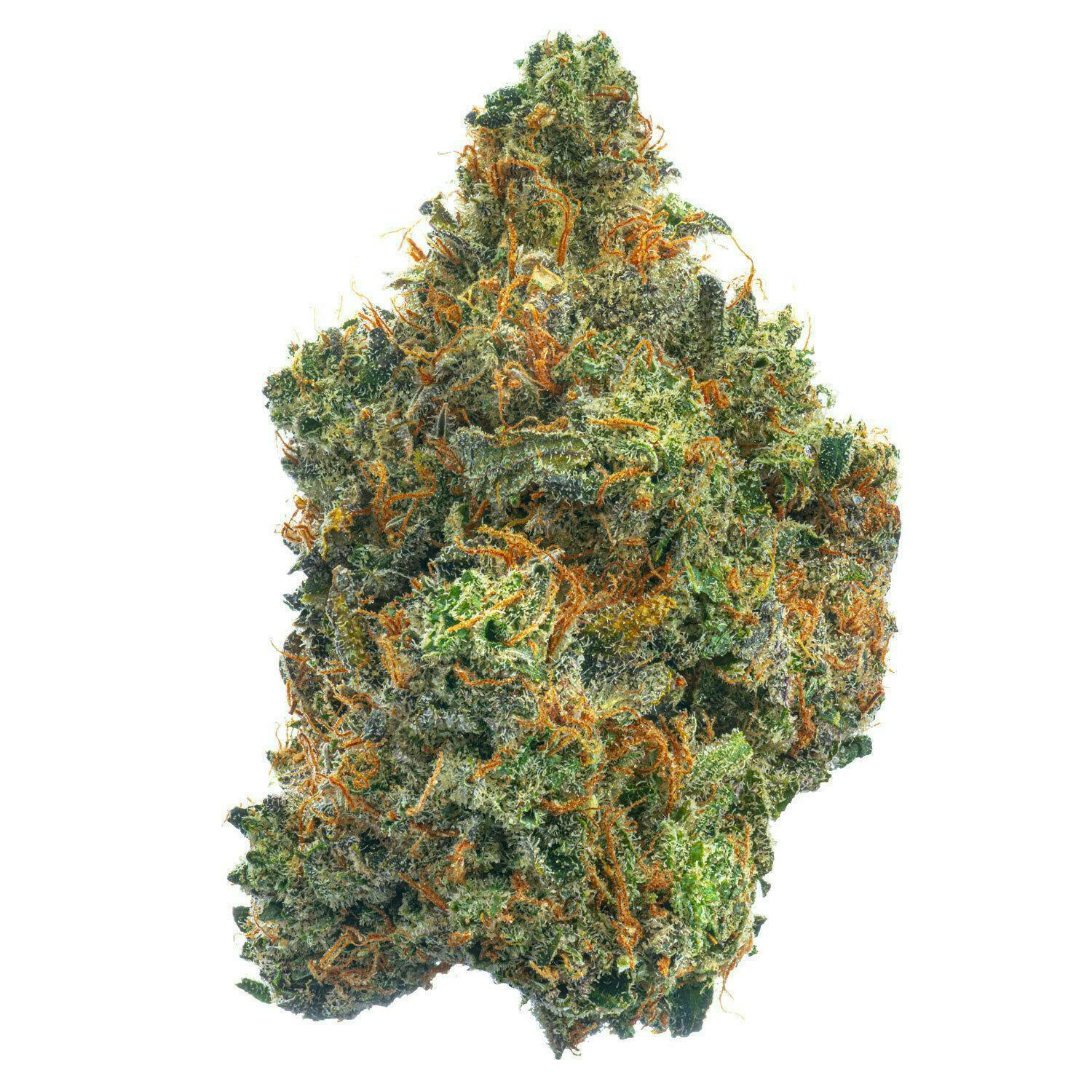 Banana Z - 3.5G Top Shelf Indoor Flower - West Coast Cure