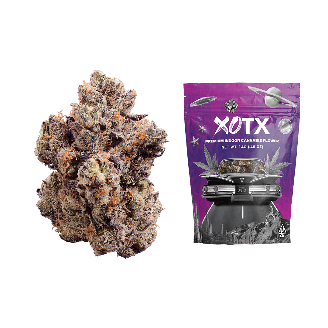 Black Lemon Cherry Gelato 14G - XOTX
