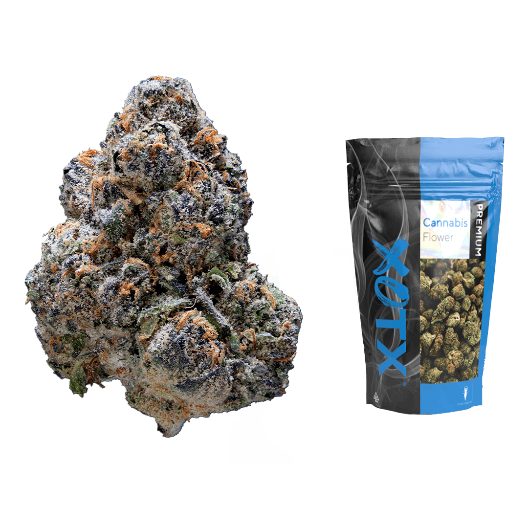 BURST HIGH vol.10 & CANNABIS HIGH