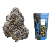 XOTX | Bubble Gum Runtz | 14g Bag