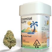 Coastal Sun Greenhouse Mule Fuel 3.5g Flower