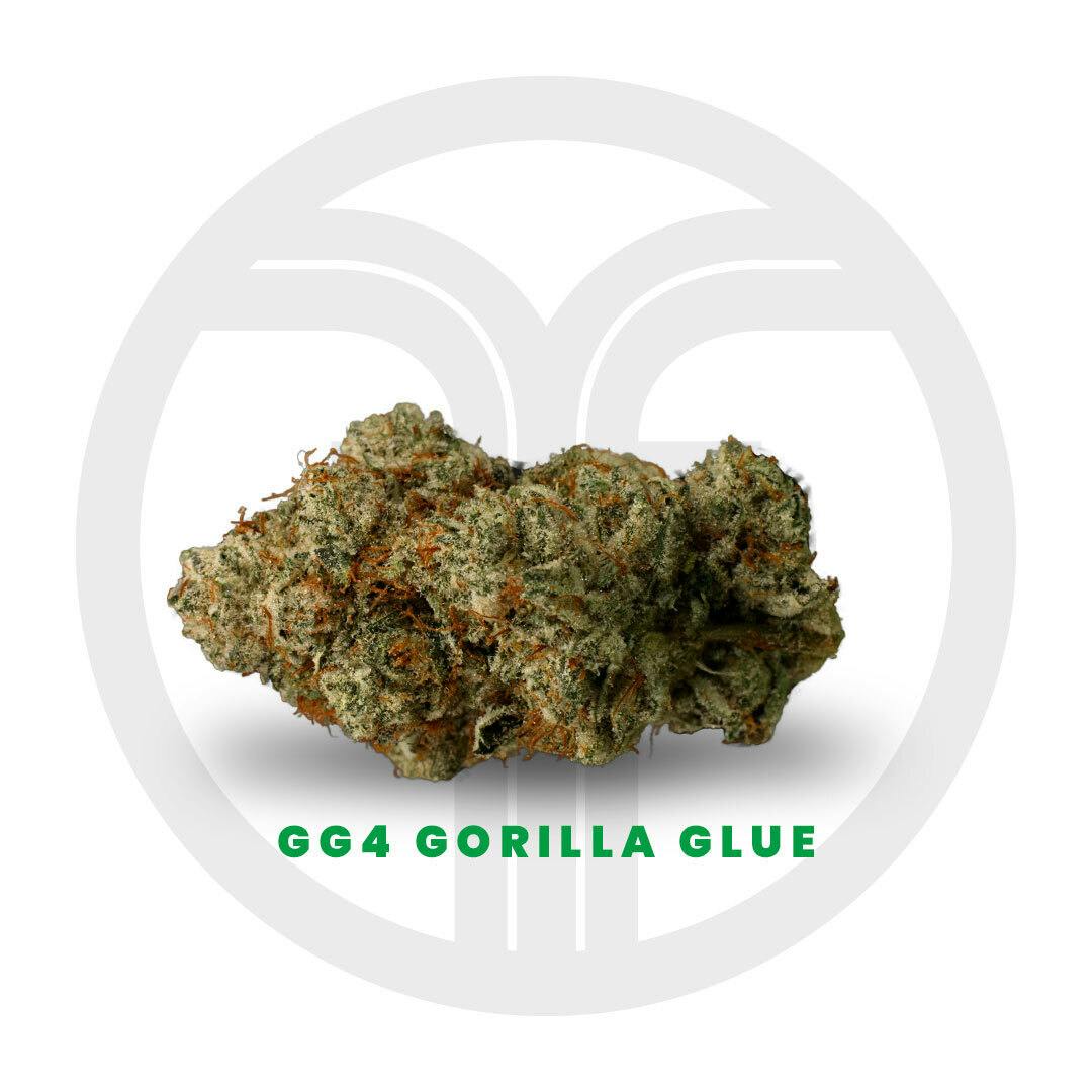 GG4 Flower - Freshy Fine