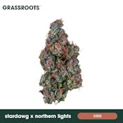 Stardawg x Northern Lights - Flower