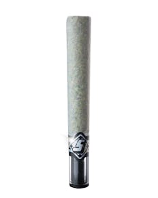 TEMPTATION INFUSED PREROLL