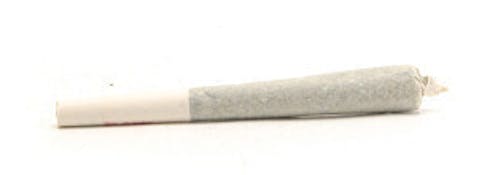 Cizi - King Louie | 1g Pre-Roll