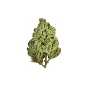 House of Sacci, Purple Thai 3.5g