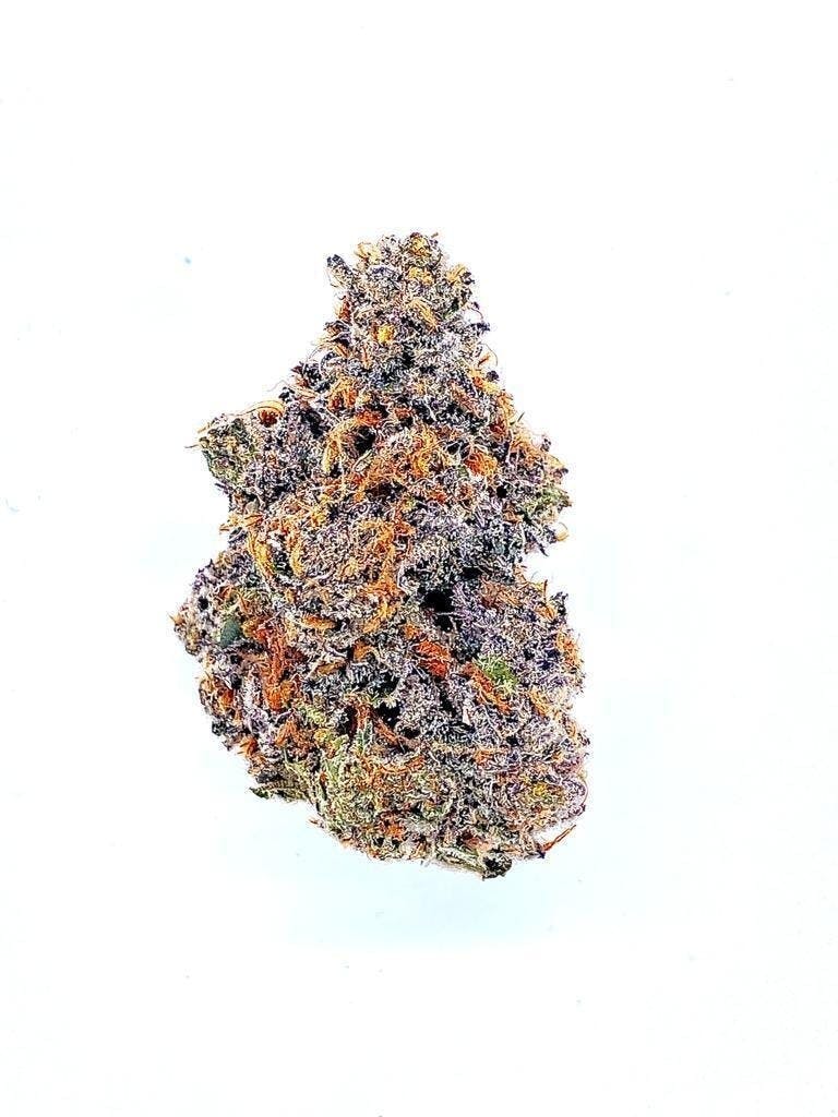 Flower - Stankasaurus 70/30 Sativa Dominant - Zero Gravity Cannabis