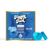 Happy Fruit | Berry Cool Rosin Gummies | (2-Pack) - 20mg THC
