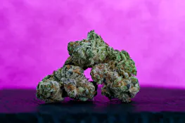 Pave AKA Pavé Flower 3.5g