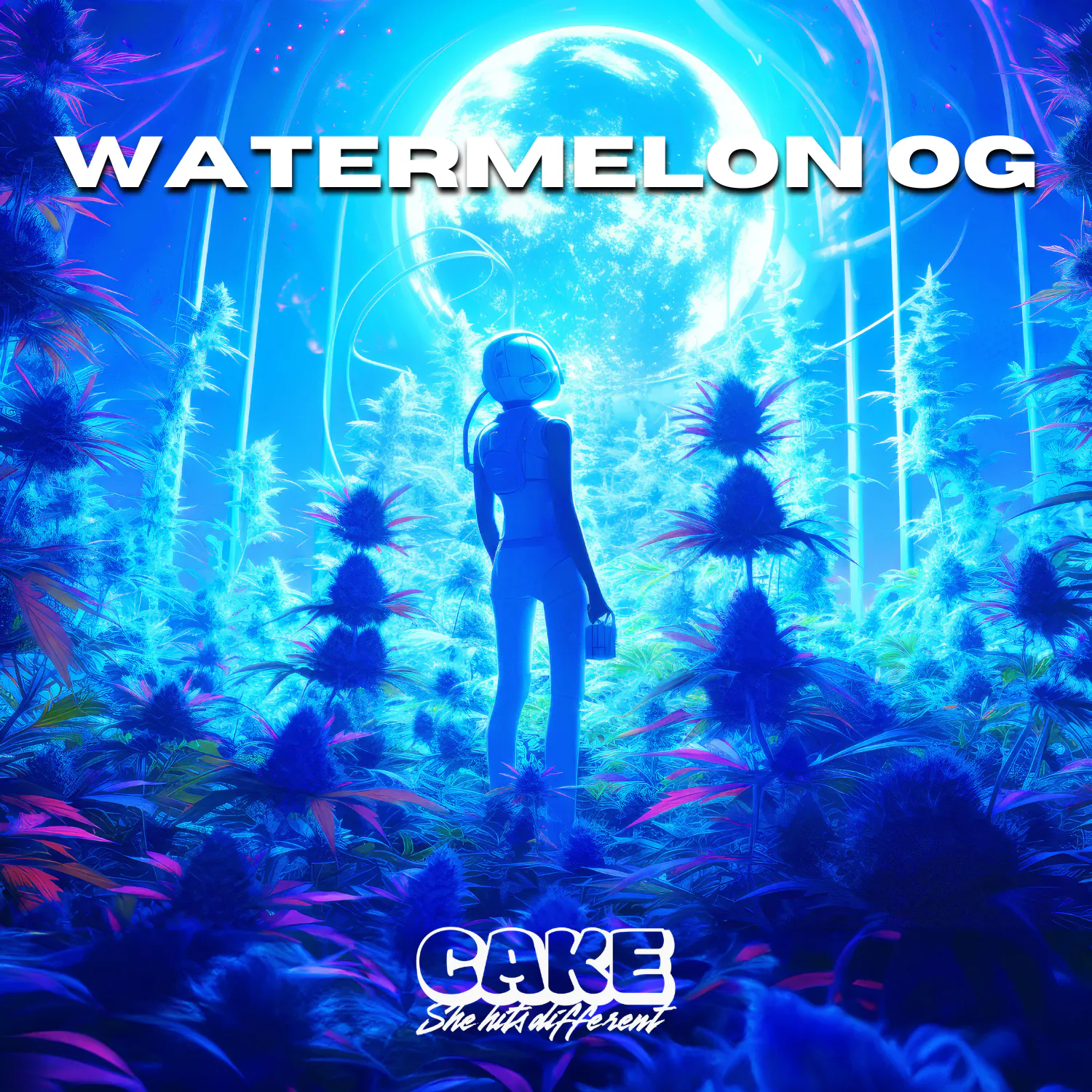 CAKE she hits different - CAKE | Watermelon OG | Designer Distillate | 1.25g | Indica Main Image