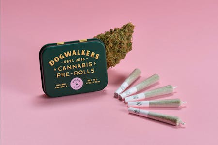 DOGWALKERS - SinMint Sundae Infused Preroll 5-Pack - 2.25