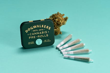 DOGWALKERS - Mystic Mint (Sit) 5pk/1.75g Prerolls