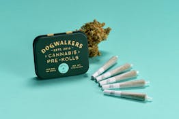 Dogwalkers Great Divide (Sit) Mini Dogs 5pk/1.75g Pre Rolls