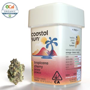 COASTAL SUN - Coastal Sun Flower 7g - Tropicana Cherry 28%