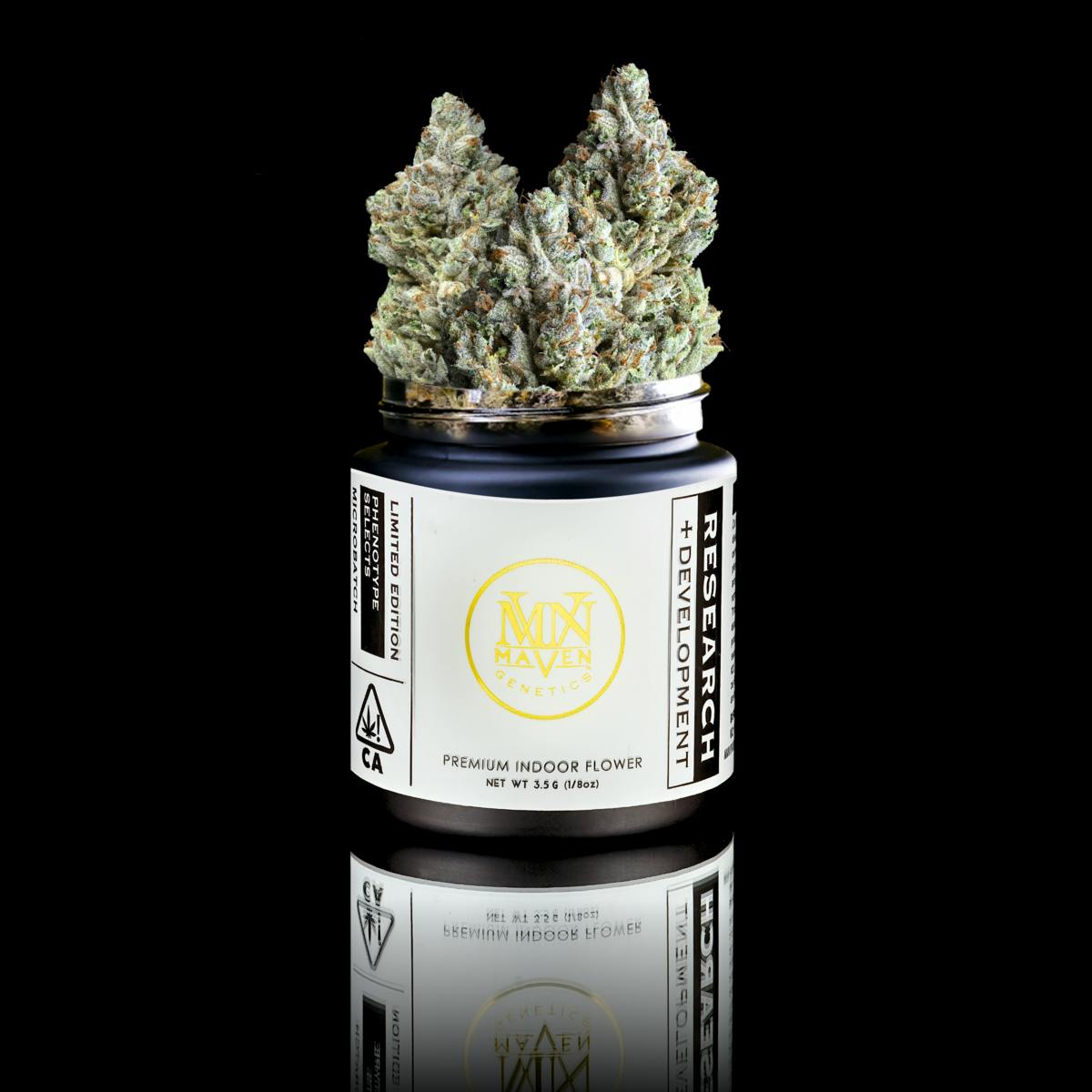 Maven OG x Zkz - Maven Genetics