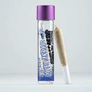 Jetpacks - Jetpacks| Lucid Blue Biggest Bang (.5G Infused, Live Resin & THC Diamond)