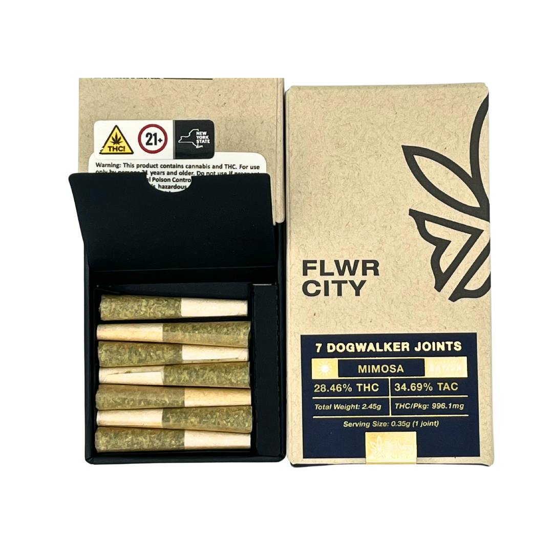 2783047_Mimosa__Mints_-