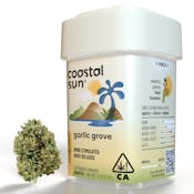 Coastal Sun Flower 7g - Garlic Grove 28%