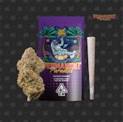 PERMANENT PARADIZE - (1G Pre-Roll)