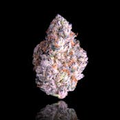 Maven Genetics | Shangri-La | 1g flower