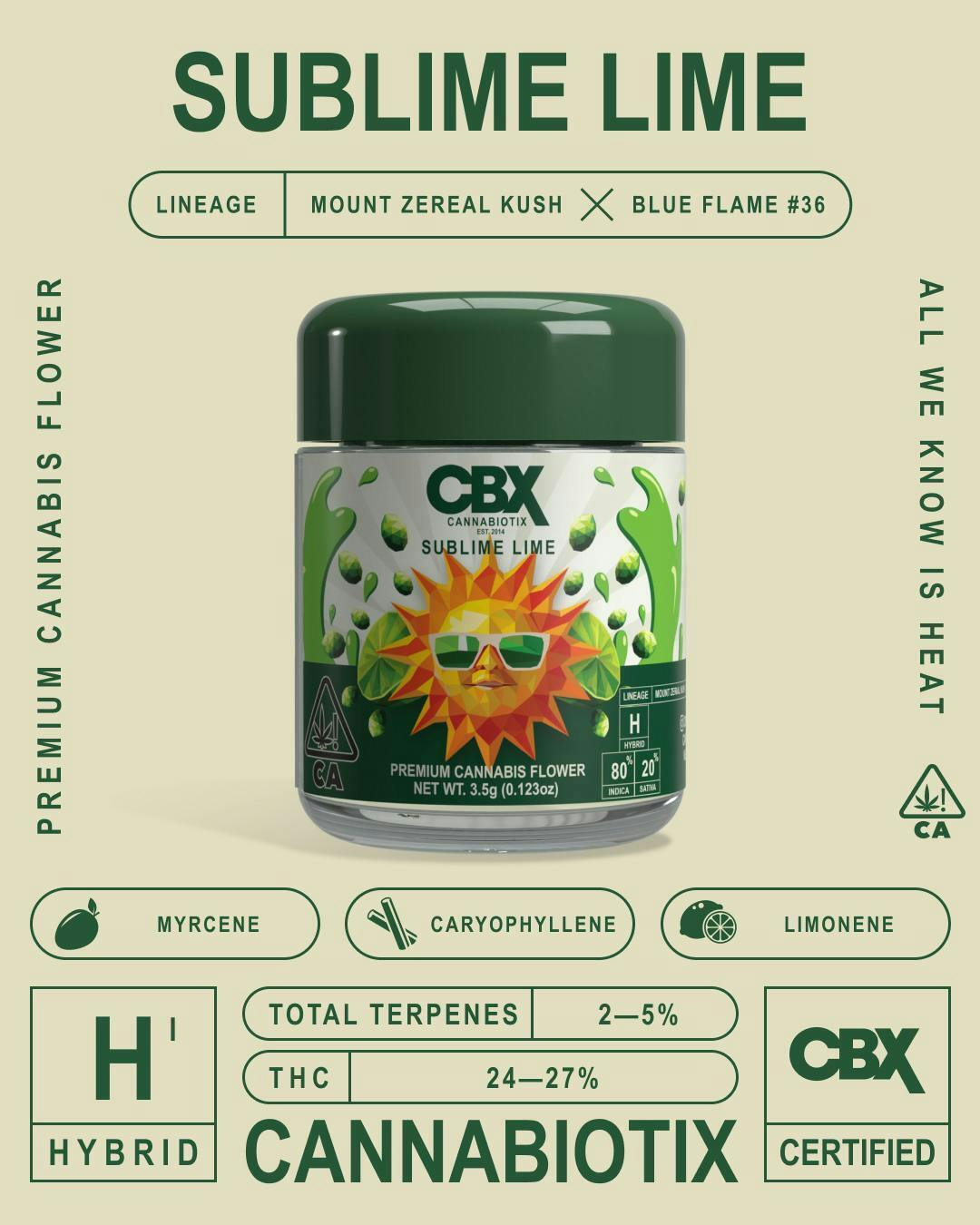 GANJA COME AROUND/RMX.COLLIBUDZ 激レア入手超困難 Sublime Lime - CBX: Cannabiotix