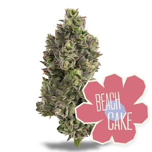 DISTRICT CANNABIS - Beach Cake Flower 3.5g