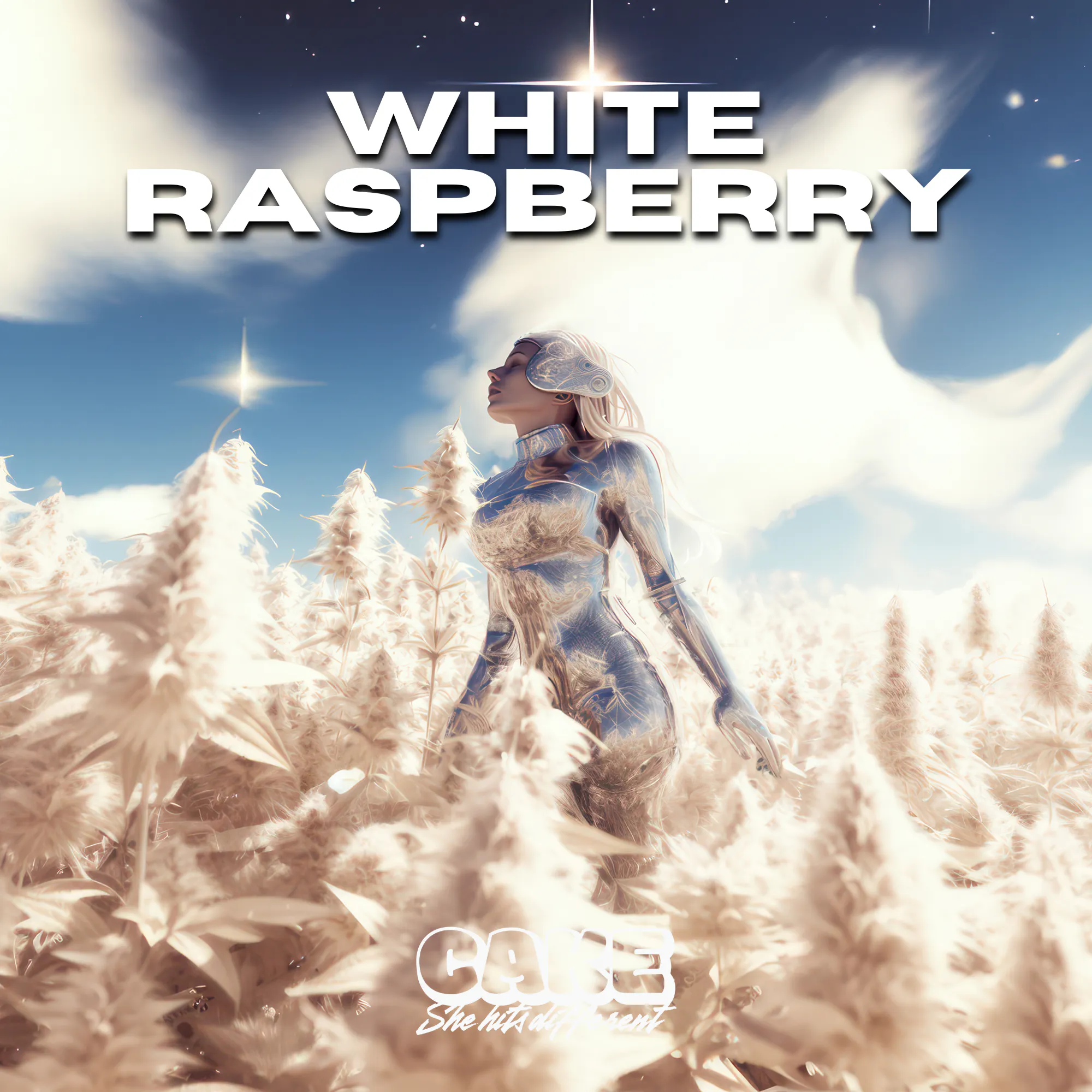 CAKE she hits different - Cake |White Raspberry | 1.25 G |H| - Designer Distillate AIO Main Image