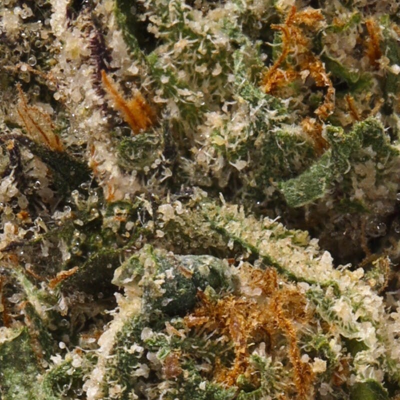 Lemon Cherry Gelato 3.5G