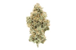 NF1 (I) | 3.5g premium Indoor Flower | UpNorth