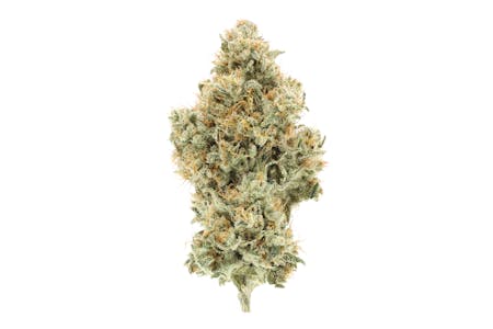 UpNorth - NF1 (I) | 3.5g premium Indoor Flower | UpNorth
