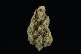 UpNorth - Maui Wowie S - Flower - 3.5g