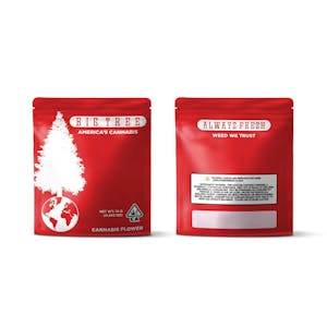 BIG TREE - Big Tree Midnight Snack 14G Flower